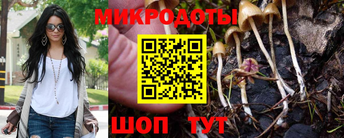 Псилоцибиновые грибы GOLDEN TEACHER  Псилоцибиновые грибы мицелий  Керчь  Вход с VPN 